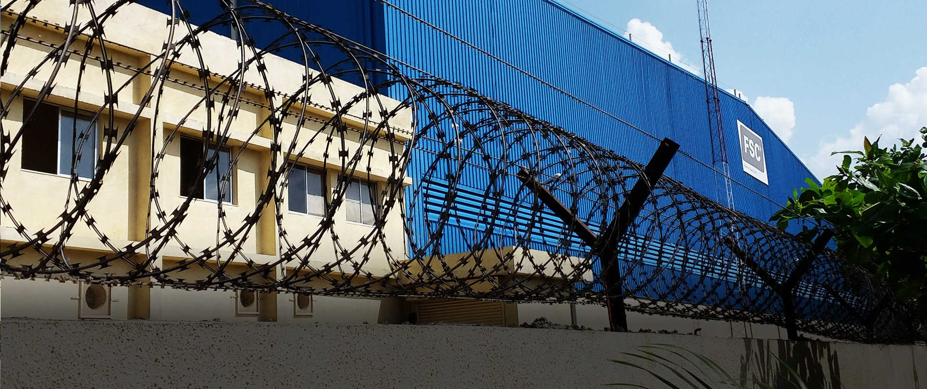 Razor Concertina Coil